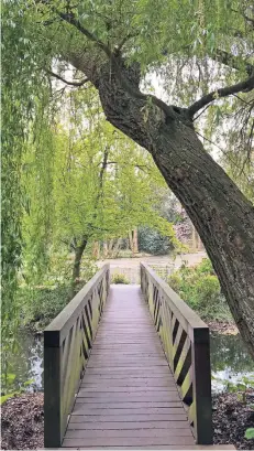  ?? ARCHIV FOTO: HELGA BITTNER ?? Auf der Insel Hombroich führt der Spaziergan­g auch in einen Park, dem die alte Gestaltung anzusehen ist.