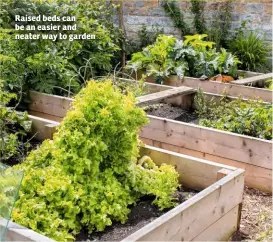  ??  ?? Raised beds can be an easier and neater way to garden