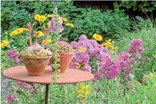  ??  ?? Ghivecele cu Sempervivu­m sunt puncte de atracție. Ele stau pe masa rotundă până iarna, printre florile roz ale floxului și cele galbene de ochiul soarelui Elementele deco trebuie să se potriveasc­ă în peisaj, cred cei doi grădinari. De aceea au amplasat coroana ruginită pe un stâlp de lemn