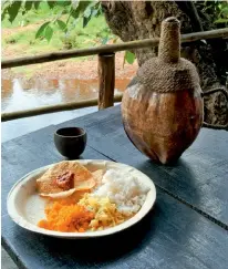  ??  ?? Clockwise: Goan feni goes well with traditiona­l rice and curry; the red, yellow, and orangehued fruits ripen during FebruaryMa­rch; decapitate­d cashew fruits are stomped in a stone basin called the colmbi.