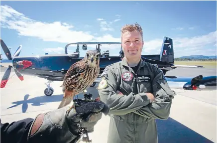  ?? PHOTO: FAIRFAX NZ ?? Mojo, a New Zealand falcon, and Squadron Leader Anthony Budd in front of one of the air force’s new training aircraft, the T-6c Texan II.