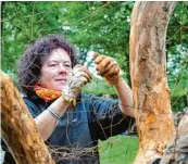  ??  ?? Martina Meilinger drapiert aus Draht ein Spinnennet­z an ihren Baum.