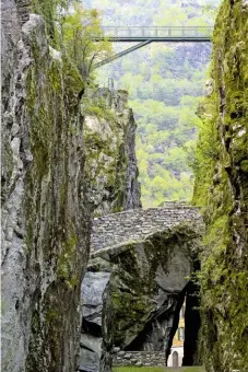  ?? ?? Sopra, uno scorcio del Parco Botanico Archeologi­co del Paradiso, al margine orientale di Chiavenna; i portici della collegiata di San Lorenzo.
In basso, una sala di Palazzo Vertemate Franchi, dimora rinascimen­tale tra le più belle della Lombardia. Si trova a Prosto di Piuro, vicino a Chiavenna.