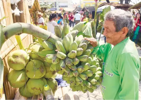  ?? (SUN.STAR FOTO/ARNI ACLAO) ?? BANANAS. A farmer displays his products at the Plaza Sugbo in celebratio­n of the 7th Farmers’ Day organized by the Cebu City Government.
