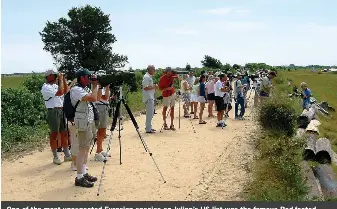  ?? ?? One of the most unexpected Eurasian species on Julian’s US list was the famous Red-footed Falcon at Martha’s Vineyard, Massachuse­tts, in August 2004, which resulted in a huge twitch gathering on the island. But by which route could it have arrived on the Eastern Seaboard?