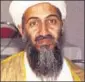  ??  ?? Osama bin Laden