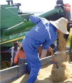  ?? NICOLAU VASCO | EDIÇÕES NOVEMBRO ?? Produtores de arroz no Bié têm a vida mais facilitada