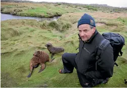  ?? 633799428 ?? Southern South Island Conservati­on director Allan Munn with two sea lion pups.