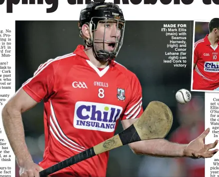  ??  ?? MADE FOR IT: Mark Ellis (main) with Seamus Harnedy, (right) and
Conor Lehane (far
right) can lead Cork to
victory