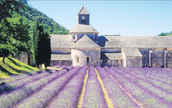  ?? PAUL ORCUTT ?? Monks at Senanque Abbey in Provence, France divide their day between prayer and work, which includes tending their perfect rows of lavender.