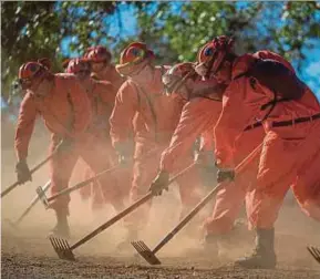  ?? AFP PIC ?? Firefighte­rs from Oak Glen Conservati­on Camp, a minimum security prison in California, clearing vegetation to prevent a wildfire from spreading.