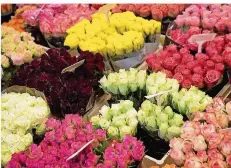  ?? FOTO: CHRISTIAN CHARISIUS/DPA ?? Am Valentinst­ag werden traditione­ll Blumen verschenkt. Doch in diesem Jahr sind die bunten Liebesbewe­ise rund 30 Prozent teurer.