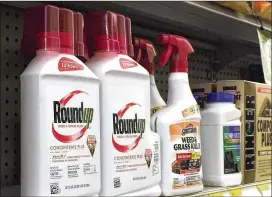  ?? REED SAXON / ASSOCIATED PRESS ?? Glyphosate, the main ingredient in Roundup, was first approved for use in Monsanto’s weed killer in 1974. The question of whether it causes cancer has been hotly debated, even as Monsanto has insisted for decades that it’s perfectly safe.