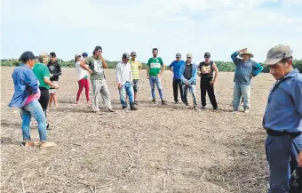  ??  ?? Familias de Tavapy invadieron la estancia, contando para ello con abierta complicida­d policial.