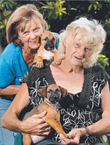  ?? Picture: ANNA ROGERS ?? GENEROUS OFFER: Treasurer and manager of YAPS Carol Clifton with Janice Hall who donated $40,000 of her savings to the animal shelter.