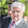  ?? FOTO: AFP ?? Bundesinne­nminister Horst Seehofer (CSU).