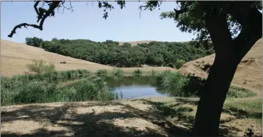  ?? PATRICK TEHAN — STAFF ARCHIVES ?? Henry W. Coe State Park, east of Morgan Hill, shown here in June 2007, is Northern California's largest state park. It is more than three times the size of San Francisco, at more than 87,000acres.