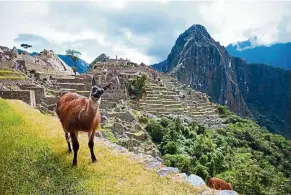  ??  ?? Join an excursion to Machu Picchu to uncover the mysteries of the Inca Empire.