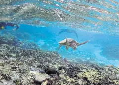  ?? REUTERS ?? Australia’s Great Barrier Reef is still under the close scrutiny of environmen­tal activists, despite being taken off the UN’s “endangered” list.