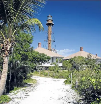  ??  ?? The palm trees of sun-kissed Sanibel Island, where the Steadmans were married.