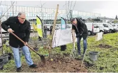  ?? LH ?? Le jardin-forêt de Douains a été planté il y a un an.