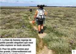  ??  ?? 1. La Baie de Somme regorge de petits paradis singuliers que vous allez explorer en toute sécurité.
2. Pour les petits comme pour les grands, l’émerveille­ment est toujours au rendez-vous !
3. Avez-vous déjà goûté à la salicorne ? Son goût croquant vous séduira sûrement. Elle est très riche en minéraux et vitamine C. 1