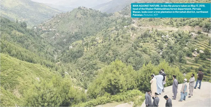  ?? Pictures: AFP ?? MAN AGAINST NATURE. In this file picture taken on May 17, 2018, head of the Khyber Pakhtunkhw­a forest department, Pervaiz Manan, looks over a tree plantation in Heroshah district, northwest Pakistan.