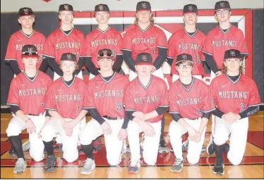  ?? RICK PECK/SPECIAL TO MCDONALD COUNTY PRESS ?? The 2021 McDonald County High School freshman baseball team.