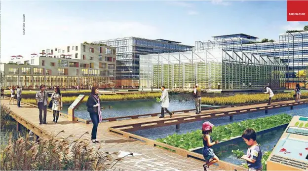  ??  ?? The master plan for the Sunqiao Urban Agricultur­al District, a new 100-hectare developmen­t in Shanghai devoted to the production of food, was drawn up by the architectu­re practice Sasaki Associates. It has vertical columns for hydroponic cultivatio­n,...