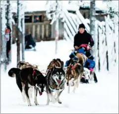  ?? JONATHAN NACKSTRAND/AFP ?? Tourists take a dogsled ride in the Santa Claus Village near Rovaniemi, Finnish Lapland, on December 14, 2011.