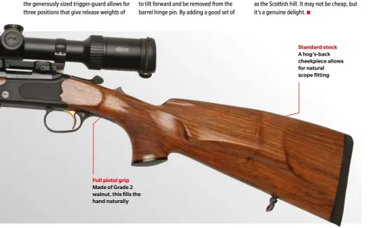  ??  ?? Full pistol grip Made of Grade 2 walnut, this fills the hand naturally
Standard stock
A hog’s-back cheekpiece allows for natural scope fitting