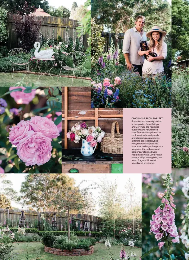  ??  ?? CLOCKWISE, FROM TOP LEFT Sunshine and serenity beckon in the garden; Sam, Caitlyn and Gertrude are happiest outdoors; the refurbishe­d shed features an updated tin roof, weatherboa­rd panels and stained-glass windows, all found at a local salvage yard; recycled objects add structure to the garden; pretty foxgloves; the pathways and borders are formed with reclaimed bricks; David Austin roses; Caitlyn loves gifting her fresh, fragrant blooms to friends and loved ones.