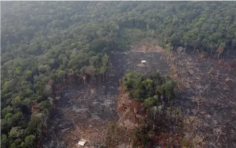  ?? — Reuters photo ?? An aerial view of a deforested plot of the Amazon near Humaita, Amazonas State, Brazil.