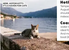  ?? ?? HERE, KOTOR KITTY: IT’S A HAVEN FOR CATS