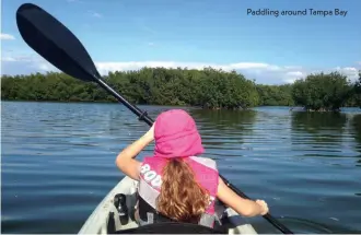  ??  ?? Paddling around Tampa Bay