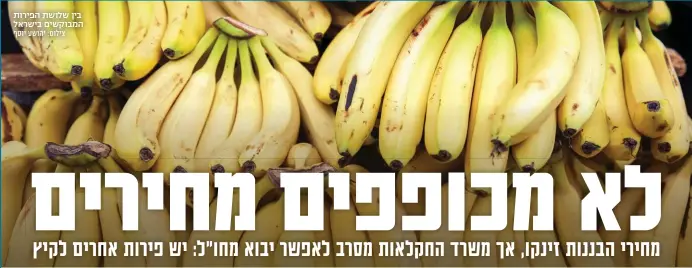  ?? צילום: יהושע יוסף ?? בין שלושת הפירות המבוקשים בישראל