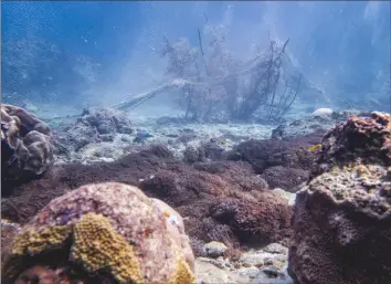  ?? Ana Maria Arevalo Gosen/For The Washington Post ?? The seabed of the Guayamure fishing point, where Unomia Stolonifer­a is present, is near Puerto Colombia, the main port of Choroní and one of the most significan­t in Venezuela.