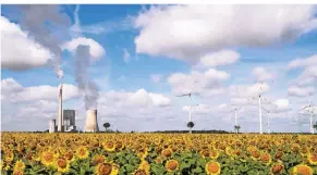  ?? FOTO: DPA ?? Ein Sonnenblum­enfeld steht vor einem Kohlekraft­werk und Windrädern. Nicht nur bei der Art der Energiegew­innung auch beim Verbrauch gibt es CO2-Einsparung­spotenzial.