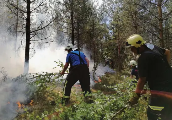  ?? FOTO: ÖSTRA NYLANDS RäDDNINGSV­ERK ?? Räddningsv­erket uppskattar att elden drabbade ett område på cirka 5 hektar.