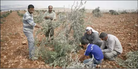  ??  ?? ... والمستوطنو­ن يجرفون أراضي في منطقة نابلس