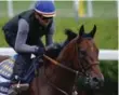  ?? THE ASSOCIATED PRESS ?? Triple Crown-hopeful American Pharoah, with exercise rider Jorge Alvarez up, gallops around the track at Belmont Park on Thursday.