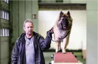  ??  ?? MYE TRENING: Belgisk fårehund krever mye trening både for kropp og hode, forteller Svein Tvedt med valpen Santos.