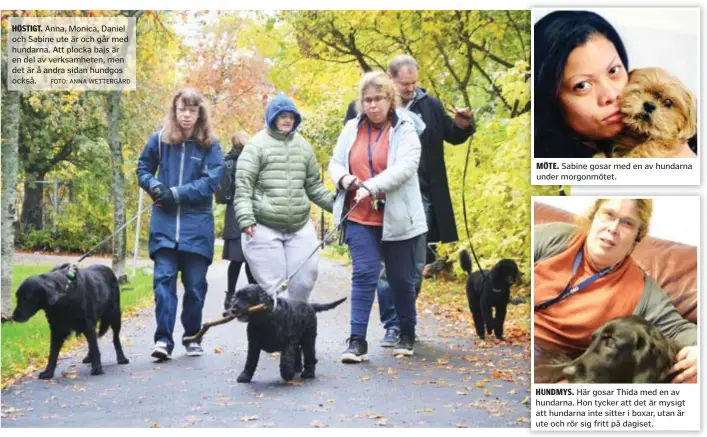  ?? FOTO: ANNA WETTERGÅRD ?? HÖSTIGT. Anna, Monica, Daniel och Sabine ute är och går med hundarna. Att plocka bajs är en del av verksamhet­en, men det är å andra sidan hundgos också. MÖTE. Sabine gosar med en av hundarna under morgonmöte­t.
HUNDMYS. Här gosar Thida med en av hundarna. Hon tycker att det är mysigt att hundarna inte sitter i boxar, utan är ute och rör sig fritt på dagiset.