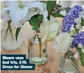  ?? ?? Bloom vase bud trio, £19, Dress for Dinner