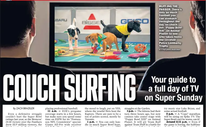  ?? N.Y. Post photo illustrati­on ?? RUFF-ING THE PASSER: There’s only so much football you can stomach throughout the day, so check out “Puppy Bowl XIII” on Animal Planet to see who takes home the coveted Petco Lombarky Trophy.