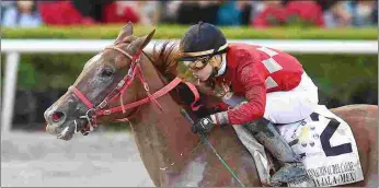  ?? LAUREN KING/COGLIANESE PHOTOS ?? Jala Jala, winner of the 2017 Clasico del Caribe, was scheduled to breeze Friday.