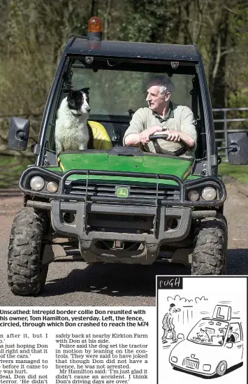  ??  ?? Unscathed: Intrepid border collie Don reunited with his owner, Tom Hamilton, yesterday. Left, the fence, circled, through which Don crashed to reach the M74