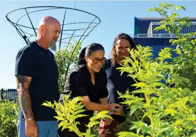  ??  ?? Left: Kylie Kwong at Yerrabingi­n with its co-founders Christian Hampson (left) and Clarence Slockee.