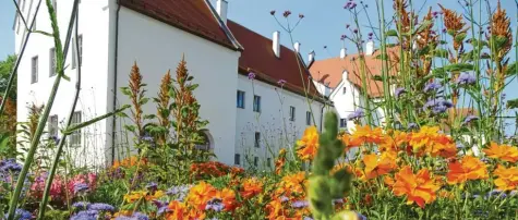  ?? Foto: Barbara Würmseher ?? Seit der Gartenscha­u sind das Gelände rings ums Schloss und der angrenzend­e Stadtpark eine attraktive Grünfläche mit bunten Akzenten und Aufenthalt­squalität. Das will die Stadt Rain jetzt feiern – mit einem opulenten Fest.