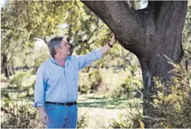  ??  ?? António Gonçalves Ferreira
fotografad­o junto a um sobreiro, na sua propriedad­e
em Coruche